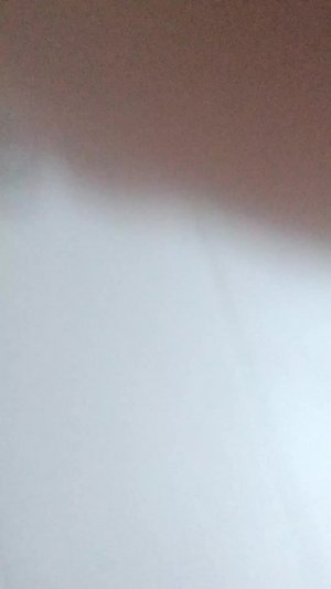 огненный дракон