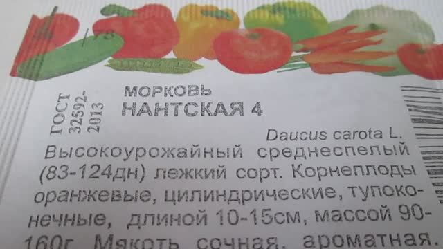 Семена моркови