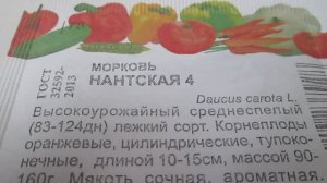 Семена моркови