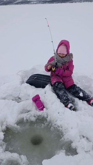 #рыбалка/залив#север