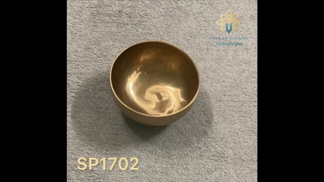 SP1702(1) Тибетская поющая чаша ручной работы