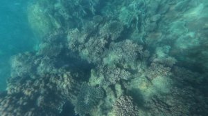 Остров Ко Ронг(Koh Rong), Снорклинг - рыбки, камни. Декабрь 2025. Камбоджа.