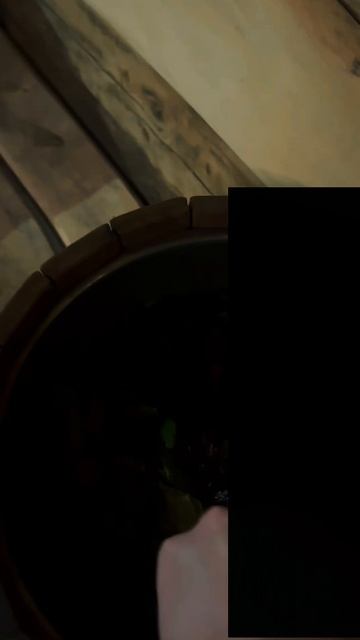 Пушка‑баня. Без комментариев. Без жалости.