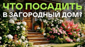 15 эффектных кустарников, которые превратят участок в картинку БЫСТРО