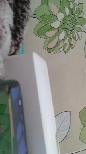 я играю в роблокс