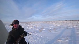 Охота на зайца. Сезон 2025-2026 №246.