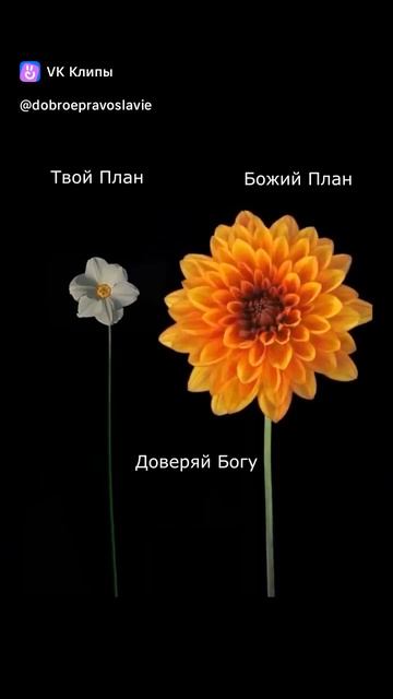 ☦️❤ДОВЕРЯЙ БОГУ!!!❤🕊️🙏 смотреть онлайн