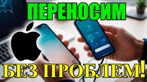 Как перенести данные на новый iPhone со старого iPhone