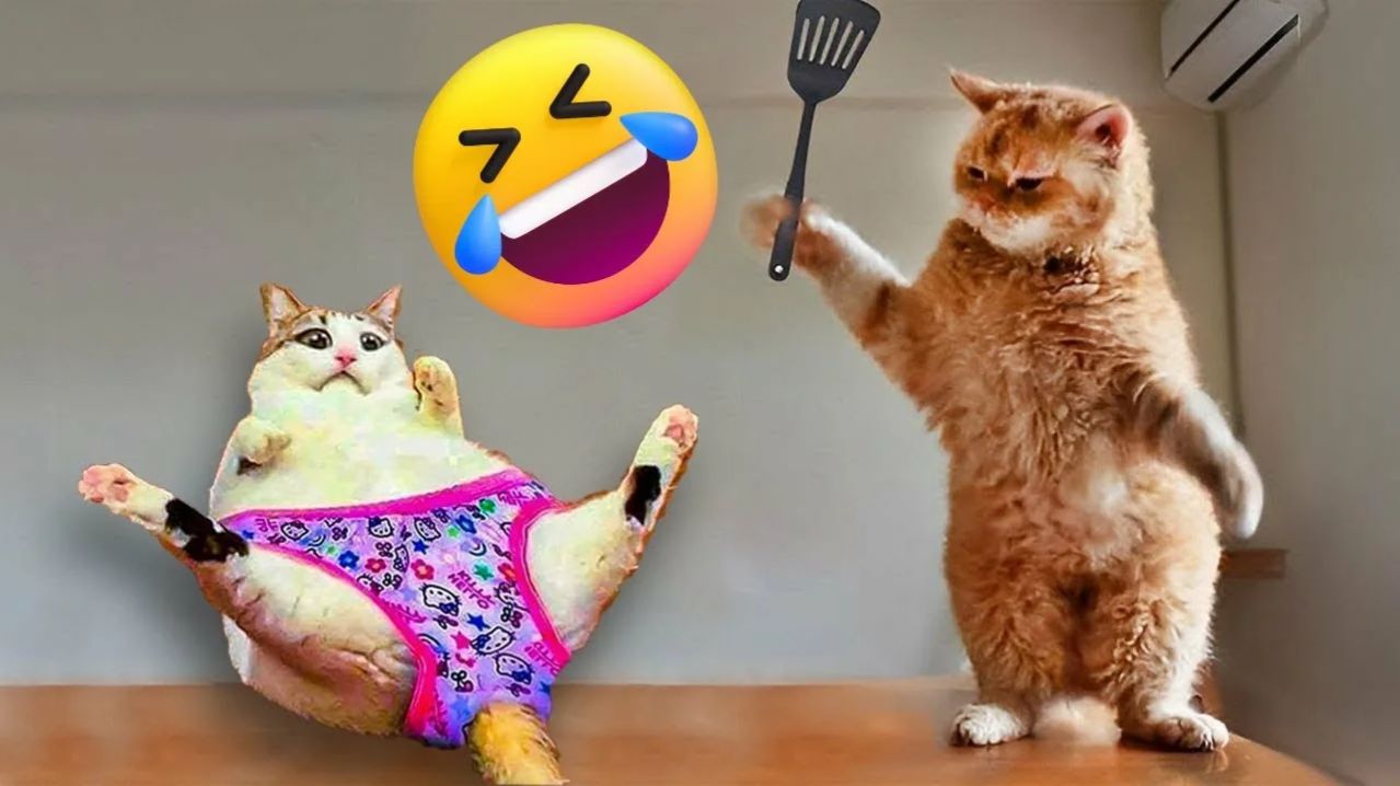 10 МИНУТ СМЕХА | ЛУЧШИЕ ПРИКОЛЫ С ЖИВОТНЫМИ | ПРО ЖИВОТНЫХ | СМЕШНЫЕ ЖИВОТНЫЕ смотреть онлайн