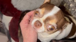 Доброго всем вечера и самой спокойной ночи.