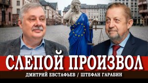 Доказательство правоты, или Как победить европейское «правосудие» | Евстафьев | Гарабин