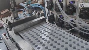 Блистерная машина для упаковки твердой и жидкой продукции DPP-320