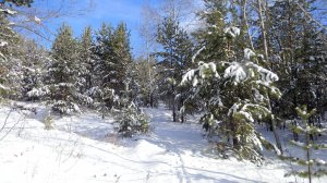 ЗИМА в Забайкальском крае. (Из цикла ВРЕМЕНА ГОДА)