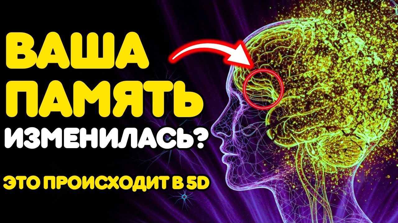 Что 5-е ИЗМЕРЕНИЕ делает с вашей ПАМЯТЬЮ (Симптом, о котором никто не говорит) смотреть онлайн