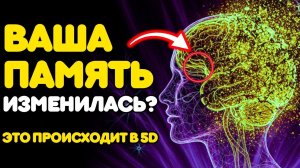 Что 5-е ИЗМЕРЕНИЕ делает с вашей ПАМЯТЬЮ (Симптом, о котором никто не говорит)