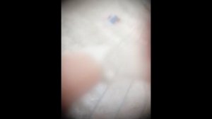 один день из дня лего Соника