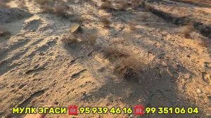 жой урни сотилади