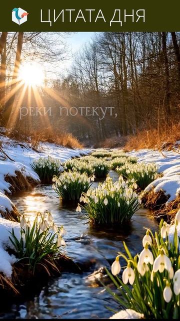 #цитата_дня