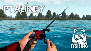 Ловись, рыбка большая и маленькая🐟Русская рыбалка 4🐬Russian Fishing 4