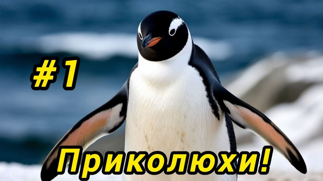 Приколюхи! Подборка приколов #1 Приколюхи! Подборка приколов #1