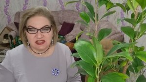 2 часть. 《Выпендриваются только дураки》- куча.