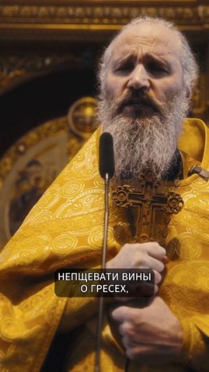 ОСВОБОДИ МЕНЯ ОТ ПРЕЛЕСТИ ИСКАТЬ ВИНОВАТЫХ | ИЕРОМОНАХ ДАВИД | ВАЛААМСКИЙ МОНАСТЫРЬ #проповедь