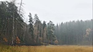 ☦️❤О ЛЮБВИ!!!❤🙏🕊️