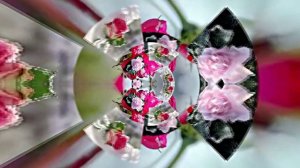 Волшебная Зимняя розовая сказка 4 от Киностудии Мудрого Кота Тимофея!