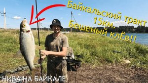Байкальский тракт 15 км.  Рыбалка в поисках леща...