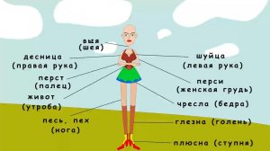 Анатомия по-древнерусски. Учим старинные названия частей тела