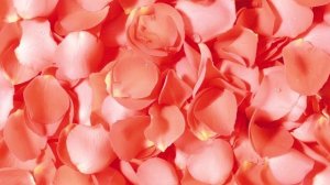 Поют задумчего гармони  сл  П  Петрищев муз  А  Долгов исп  А  Долгов