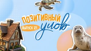 "Свинтус для битья" и денежный корпоратив. "Позитивный улов". "Позитивный улов"