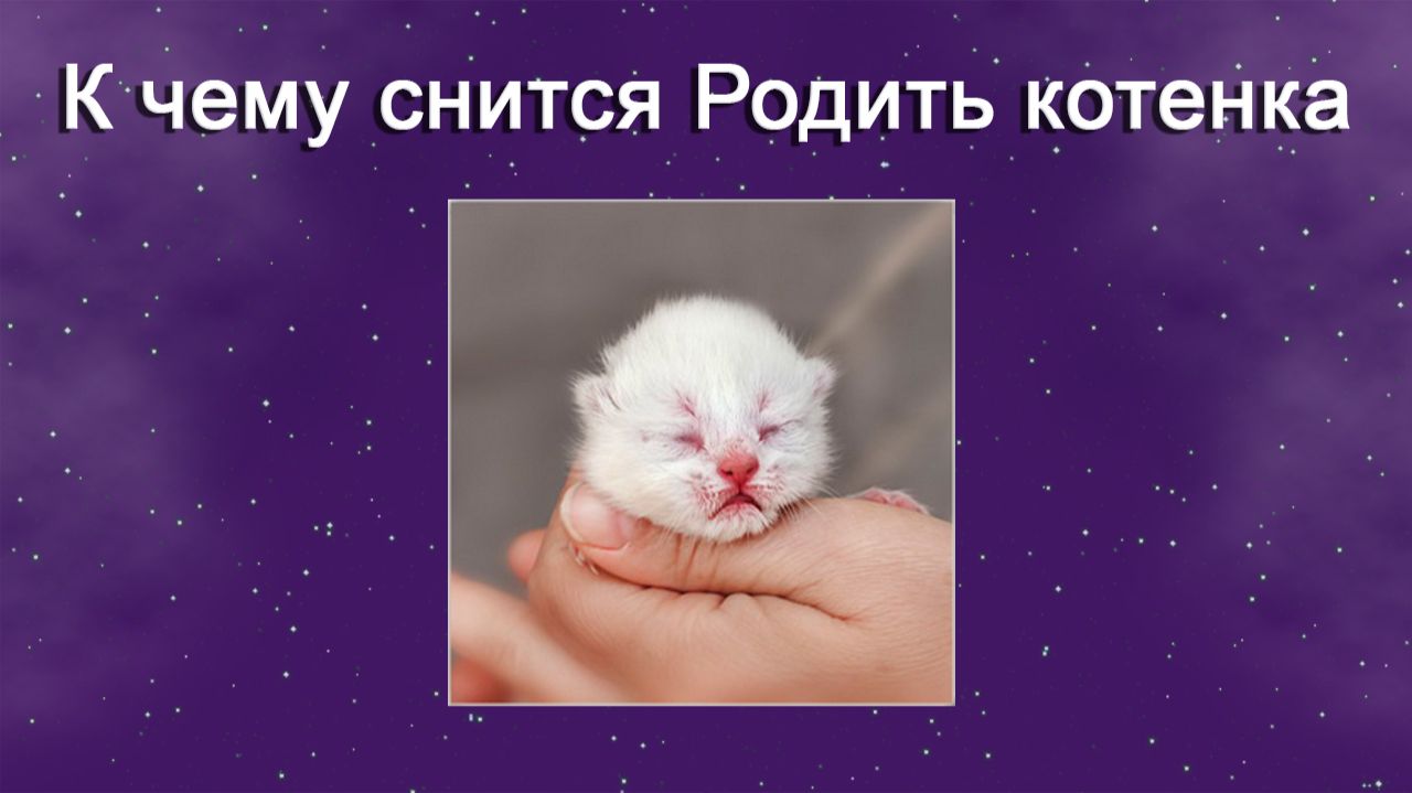 К чему снится Родить котенка - толкование сна смотреть онлайн