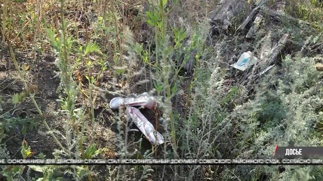 В волгограде судебные приставы добились ликвидации свалки на лысой горе смотреть онлайн