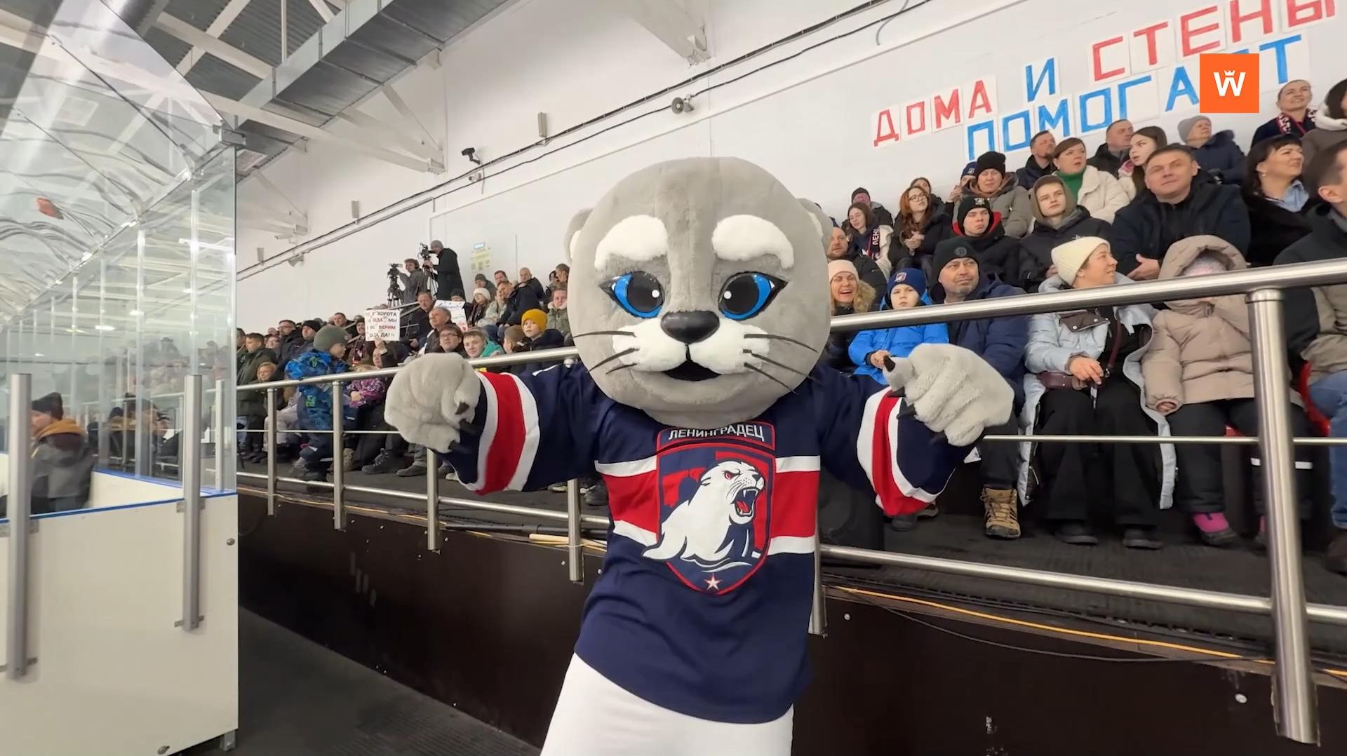 Программа «Город. Новости по-выборгски» от 26 февраля 2026 года смотреть онлайн