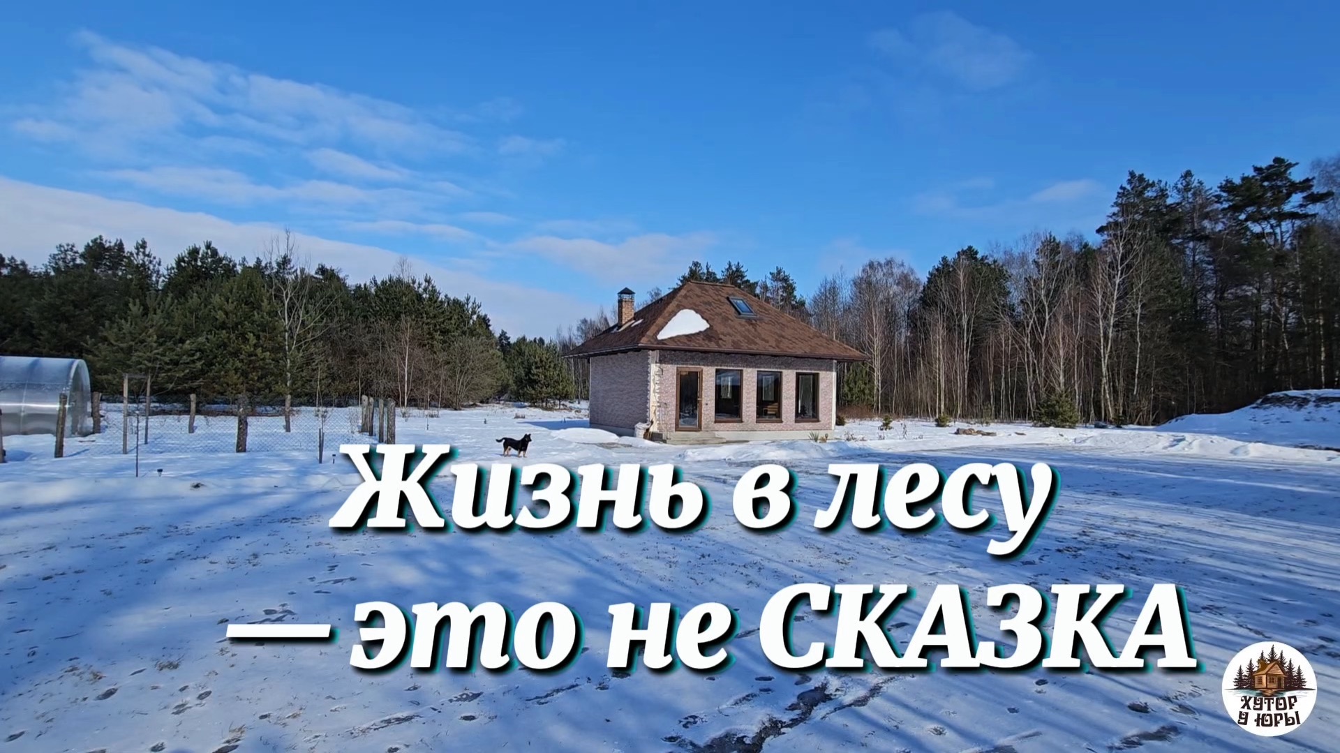 СТАРЫЙ ХУТОР в Беларуси. Жизнь в лесу — это не СКАЗКА, наша цель и реальность. Украшаю сруб резьбой смотреть онлайн
