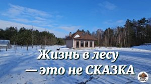 СТАРЫЙ ХУТОР в Беларуси. Жизнь в лесу — это не СКАЗКА, наша цель и реальность. Украшаю сруб резьбой