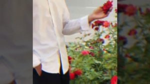 🥀цыганская песня🥀
      ⚜️сказка ⚜️