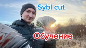 Кардистри для новичков (sybl cut cardistry tutorial )