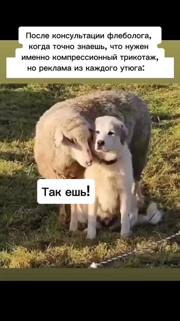 лечение варикоза