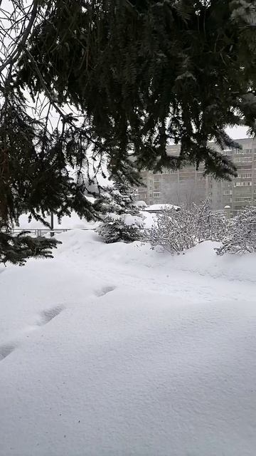 ПРИВЫЧНОЕ...А ЧТО ЗА НИМ?