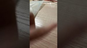 пермский зоопарк/🐻🐻медведи