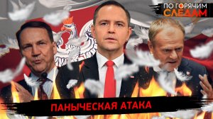 Паныческая атака