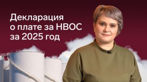 Заполняем декларацию о плате за НВОС за 2025 год