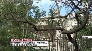 Из ручейка в бурный поток. Почему во двор школы в Алупке стекают грунтовые воды?
