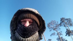 Автомиксер - система раздельной смазки на двухтактном снегоходе, польза или вред для ДВС.