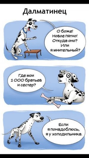 Тараканы в голове и собаки