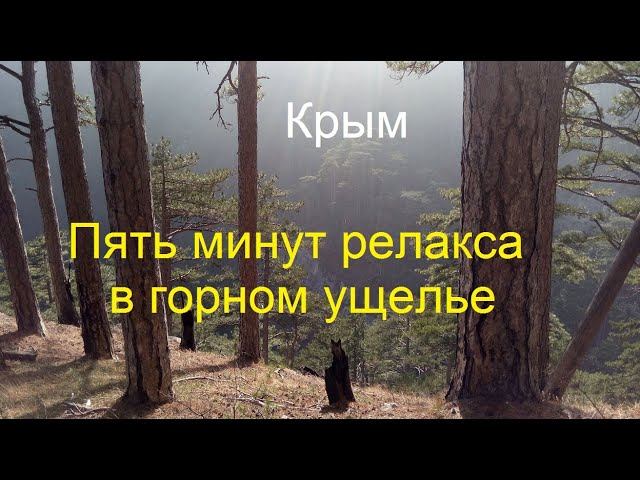 Крымские горы. Вечерняя дымка в ущелье