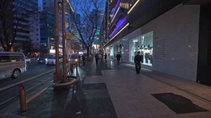 СИБУЯ ТОКИО 2026: Прогулка по району в «синий час»