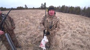 Охота на зайца беляка в лесу с гончими. Гончаки не дают шанс зайцам. Сезон 2025-2026 №237